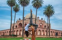 Yoga Tour To India 