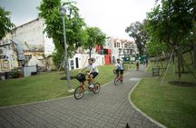 Singapore Bike Tour ( Private Tour ) 