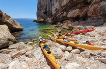 Half Day Sea Kayak Trip