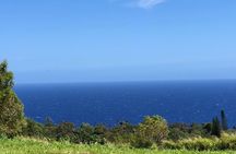 Hamakua Coast Farm Small-Group Walking and Tasting Tour
