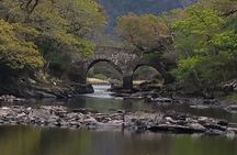 Muckross House and Gardens, Killarney - Scenic Tour (Minimum 4 People - 1 way).