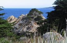 Guided 2-Hour Point Lobos Nature Walk