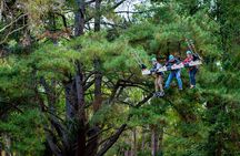 Rock Climb, Zipline and Mega Swing Experience