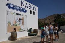 Citron Tasting and Distillery 1-Hour Guided Tour in Naxos