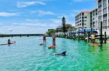 Dolphin and Manatee Adventure Tour of Fort Myers