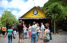 Bob Marley Birthplace, Nine Miles Tour from Ocho Rios