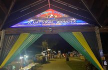 Luminous Lagoon Night Tour from Montego Bay