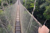 7-Day All Inclusive Guided Jungle Tour from Iquitos at Maniti Eco-Lodge