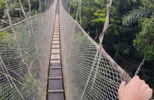 3-Day All Inclusive Guided Jungle Tour from Iquitos at Maniti Eco-Lodge