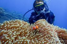 Full-Day Scuba Diving Experience of USAT Liberty in Tulamben