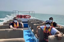 Private Tour to spot Sea Lions in Palomino Islands From Lima