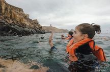 Private Tour to spot Sea Lions in Palomino Islands From Lima