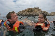 Private Tour to spot Sea Lions in Palomino Islands From Lima