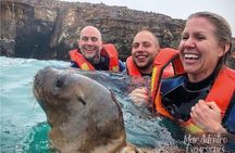Private Tour to spot Sea Lions in Palomino Islands From Lima