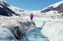 4-Day Banff, Lake Louise, Jasper, Icefield Packaged Tour