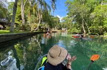 Clear Kayak Tours in Weeki Wachee