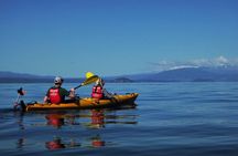 Half-Day Kayak to the Maori Rock Carvings in Lake Taupo