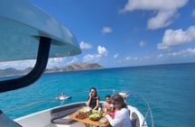 Full Day All inclusive Private Sxm Trip