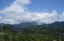 The Best of Saint Lucia Tour