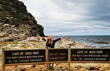 Cape Point Xplorer