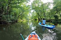 Scenic Paddleboarding Adventure: Nové Mlýny to Lednice