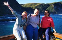 3 Day Garden Route Safari