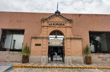  Arts and Snacks Walking Tour with Taste of San Miguel
