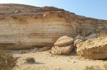Unusual Day Tour To Wadi Degla Protectorate In Cairo