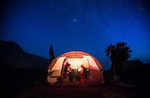 8-Day Small-group Lemosho Kilimanjaro Summit Trekking