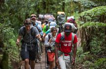 8-Day Small-group Lemosho Kilimanjaro Summit Trekking