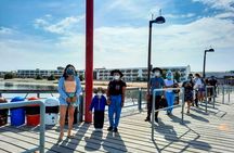 Visit to Paracas, Ballestas Islands and Huacachina