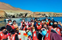 Paracas, Ballestas Islands and Huacachina Guided Tour