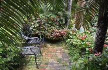 Hunte's Gardens Barbados Half Day Excursion