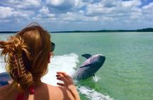Private Wildlife and Shelling Tour in Marco Island