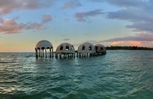 Private Wildlife and Shelling Tour in Marco Island