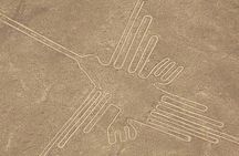 The Nazca Lines, Paracas & Huacachina Oasis (2D/1N) Private Trip