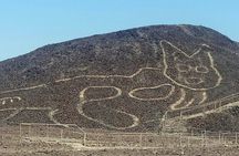 The Nazca Lines, Paracas & Huacachina Oasis (2D/1N) Private Trip