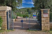 Attica Day Tour - Brauron/ Artemis, Lavrion, Cape Sounio/ Poseidon Temple (8h)