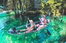 Clear Kayak Three Sisters Springs & Manatee Tour Of Crystal River