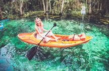 Three Sisters Springs Kayak And Swim Eco-Tour Crystal River