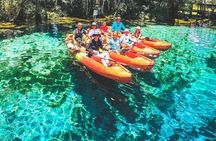 Three Sisters Springs Kayak And Swim Eco-Tour Crystal River