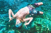 Three Sisters Springs Kayak And Swim Eco-Tour Crystal River