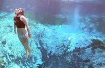 Three Sisters Springs Kayak And Swim Eco-Tour Crystal River