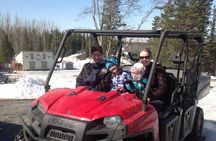 Sterling, AK Location! ATV Dogsledding Ride