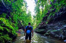 Jungle Hike with Canyoning and Rappelling in Drake Bay