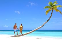 Full Day Excursion to Isla Saona from Punta Cana