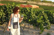 Sicily wine food tours from Ragusa