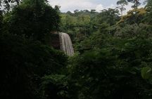 The Botanical Gardens and Water Falls Experience - Private Tour 