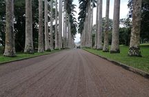 The Botanical Gardens and Water Falls Experience - Private Tour 
