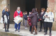  Visit Herculaneum with an expert professional guide (2/3 hours)
